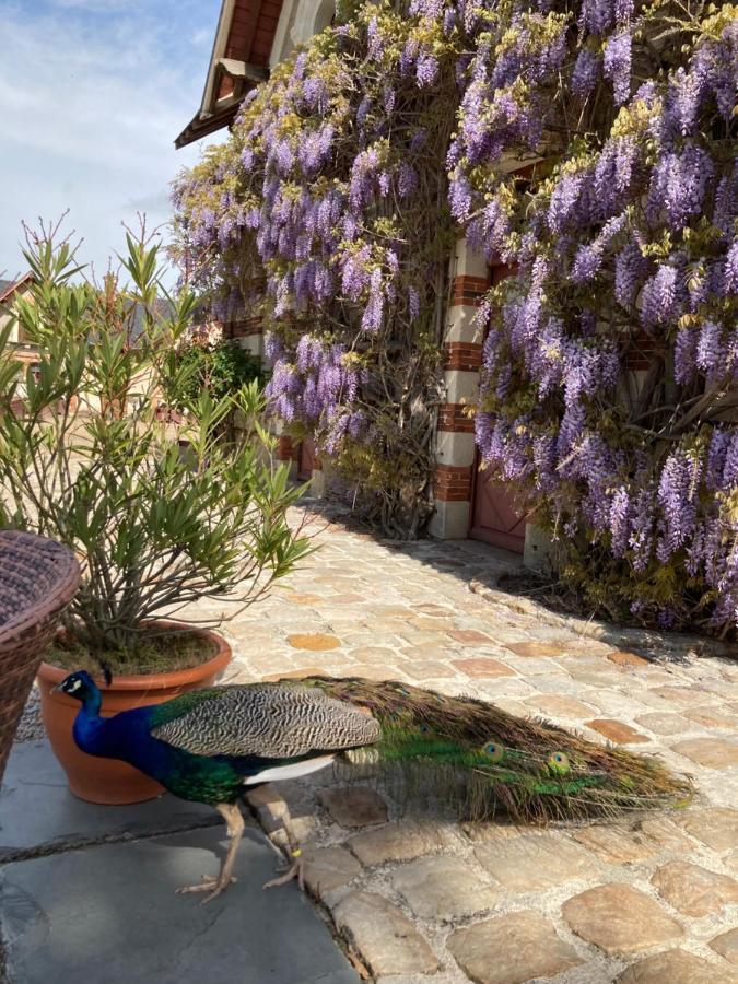 Chateau De Belle Poule Les Ponts-de-Cé Dış mekan fotoğraf